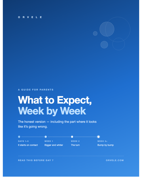What to Expect, Week by Week